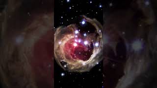 The evolution of the light echo around V838 Monocerotis - Hubble Space Telescope shorts