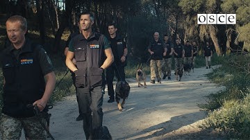 Sniffing out danger—Strengthening Ukraine’s Canine Capacities to Prevent Illicit Trafficking of SALW