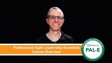 PAL-E Course Overview - Unstuck Agile