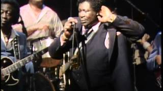 BB King - 05 Sell My Monkey [Live At Nick's 1983] HD chords