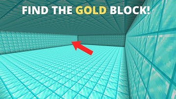 Minecraft Spot The Block #9