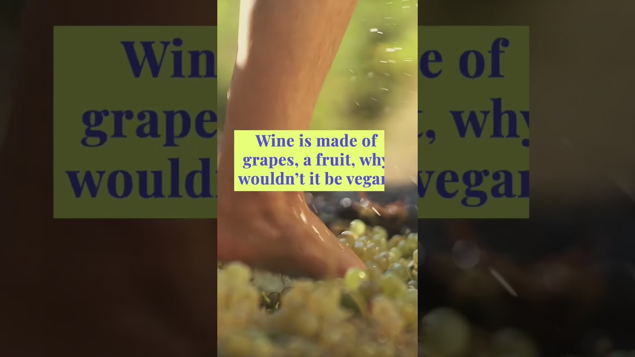 Why Isn't All Wine Vegan?