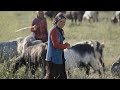 Assignment Asia: Turkey's last Anatolian nomads