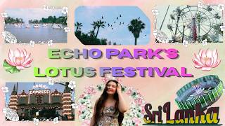 Lotus Festival vlog! 🪷✨ | Echo Park 2026 📍