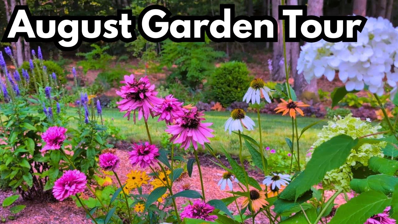 August Garden Tour Zone 5b New Hampshire | Secret Garden Space