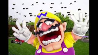 Wario dies after mowing over a ground bee nest  (Relaxing ASMR)