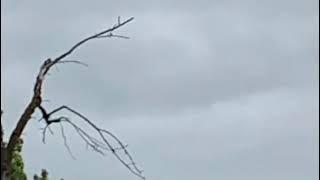 ABC Nature Edition 🌿