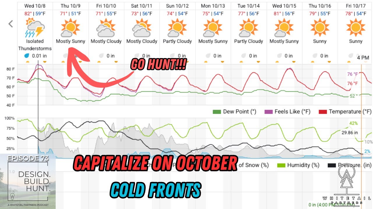 October Cold Front CAPITALIZE on October COLD FRONTS!!! - YouTube