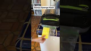 Genius sponge hack