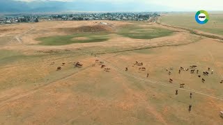 видео: От зимних пустынь Турана до Великого шелкового пути: достопримечательности из списка ЮНЕСКО картинка: От зимних пустынь Турана до Великого шелкового пути: достопримечательности из списка ЮНЕСКО