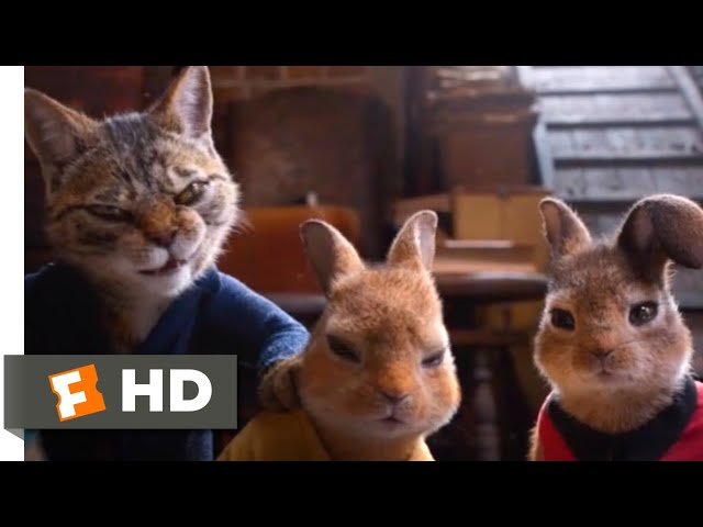Peter Rabbit 2: The Runaway (2021) - Stopping the Thieves Scene