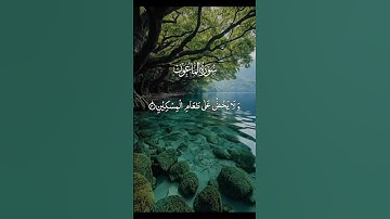 #القرآن_الكريم #تلاوة_خاشعة #راحة_نفسية #ارح_قلبك