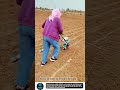 Practical Seed Planter tool for Accurate Row Planting #tools