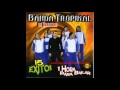 Banda Tropikal 15 Exitos