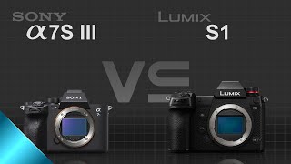 Sony alpha a7S III vs Panasonic Lumix S1