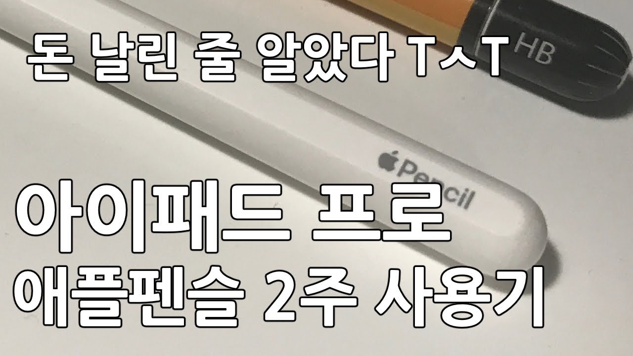 애플펜슬 2 사용기 - 연결끊김, 충전시간, 헐거워짐 등(apple pencil 2 review) - YouTube 애플펜슬 2 사용기 - 연결끊김, 충전시간, 헐거워짐 등(Apple Pencil 2 Review) - Youtube