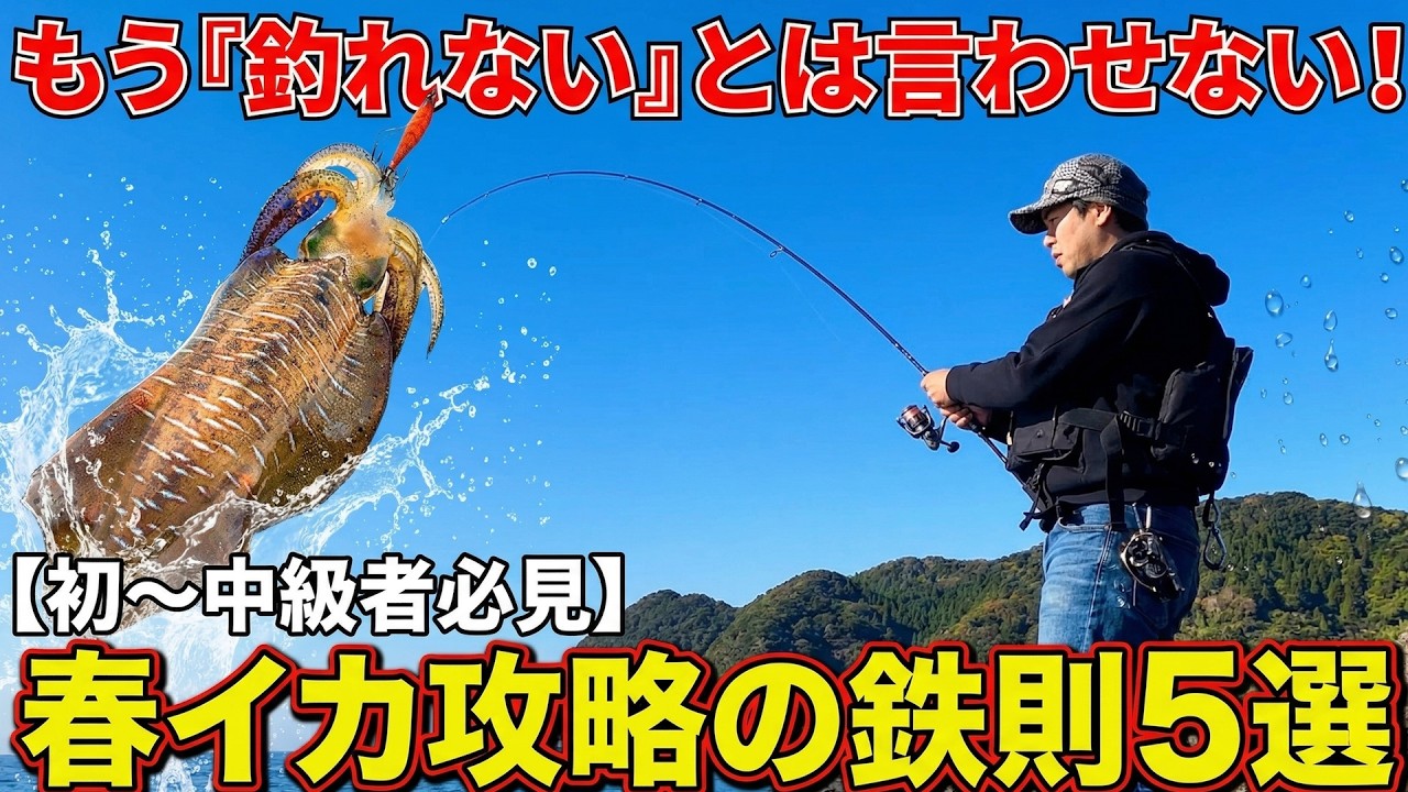 見ないと損！【初〜中者必見】春イカ攻略の鉄則5選とPEラインの真実