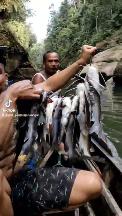 ocu ko sanak