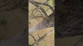 FPV Crash #fpvcrash #fpv #fail #shorts
