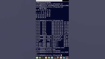 Linux Use ‘script —timing=t.log t.txt’ to capture screen time stamp logs and commands output.