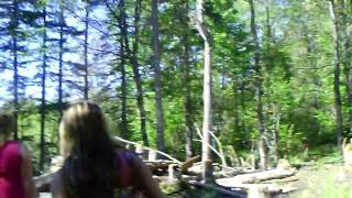 venture thru martina woods.