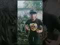 Con mis carnales _ EL ALACRÁN
