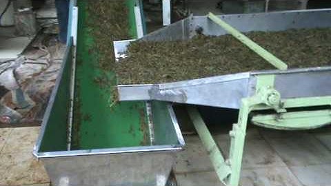 conveyors for tea factories
