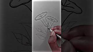 Easy Flower Drawing Tutorial | Flower Drawing Hacks And Tricks #Youtubeshorts #Shorts #Art #Draw