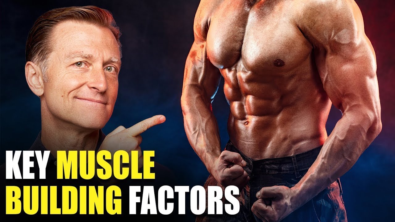⁣The MOST Important Factors in Building Muscle–Beyond Dietary Protein