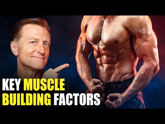 Understanding Protein And Muscle Building