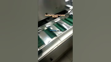 Multi Function Horizontal Box Packing Machine Automatic Snack Sachets Cartoning Machine | SAYOK