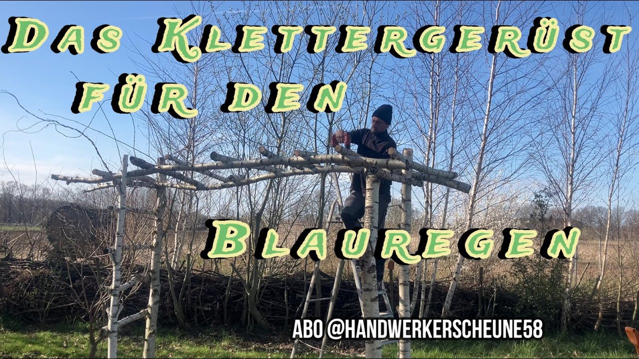 Der Blauregen Wisteria bekommt eine Kletterhilfe  #garten #garden  #handwerk #bauen #diy #flowers