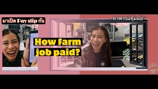 How Farm work paid!?? | เปิดเพย์สลิป งานฟาร์มจ่ายเงินยังไง? ได้ทั้งหมดเท่าไหร่? อย่างละเอียด {MP:23}