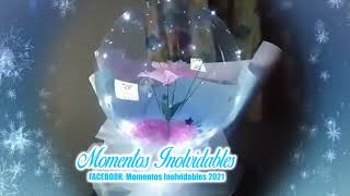Globo Burbuja con Led | Bubble Balloon with Led | Bubble Balloon With Rose