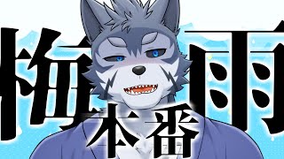 【雑談】梅雨本番なんですだけど【Vtuber/雹衛ハガル】