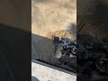 How High does this Embankment Seem to Be | RC Remote Control Car #rccars #rcoffroad #offroad