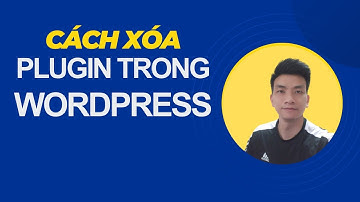 Cách xóa Plugin không cần thiết trong WordPress | ThaiDayNay
