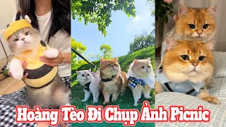 Hoàng Tèo Đi Chụp Ảnh Picnic Úcưng Ậtnuôi Ómèohàihước