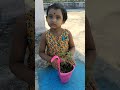 Cynthia plant watering#fun #subscribe