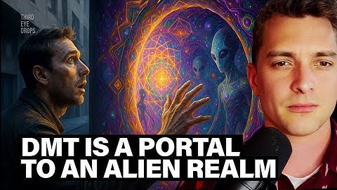 Lessons From the DMT Realm, Alien Language & Finding Meaning | Alexander Beiner