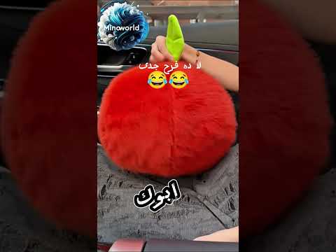 عقبال عندكوا  اكسبلور المراه   اكلات البخل طبخ