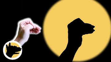 HOW to Make a CAMEL Shadow with Your Hands 👐🐫  Hand Shadow Tutorial