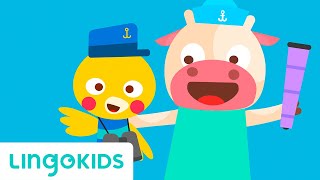 A Sailor Went To Sea - Song Nursery Rhymes Lingokids