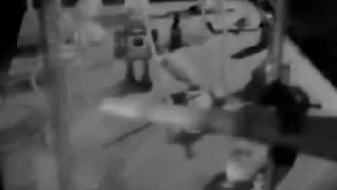 Frank Agrama's banned movie The Adventures of Filf...