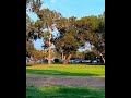 SICK ANHYZER FLEX LINE.🤯🤯Discraft Z Nuke OS. Huntington Beach Disc Golf Course. Discstroy Disc Golf