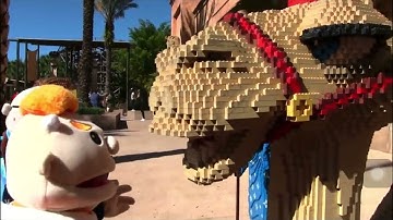 hello my name is camille habib