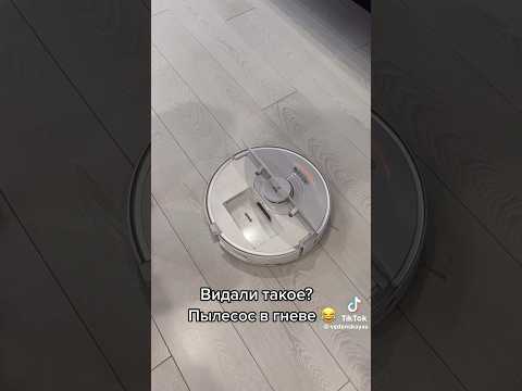 Робот пылесос матерится на всех людей