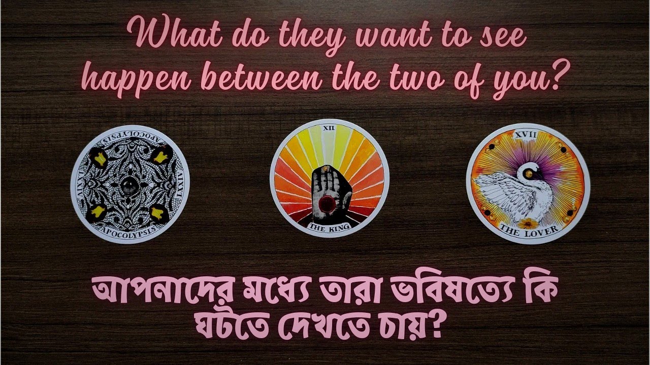 What does your person want? | Apnar person er expectation ki? 🌟🐾🌷