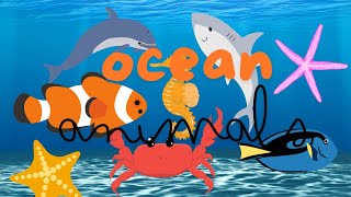 Ocean Animals [ learn with Megan's World]