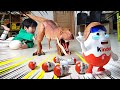 Escape of Kinder Surpised Dinosaur Egg Boy from T-rex 공룡놀이: 티라노와 킨더조이 공룡알의 탈출